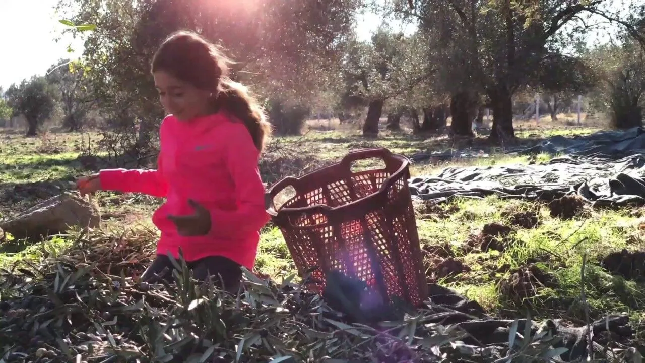 Troy Organics Introduction Video